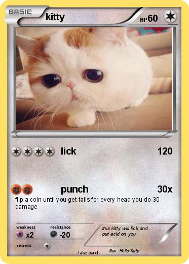 Pokemon kitty