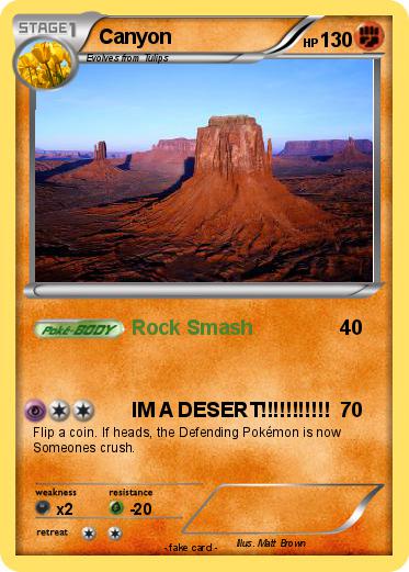Pokemon Canyon