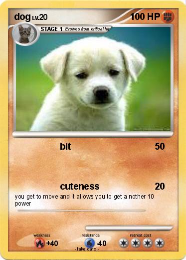Pokemon dog