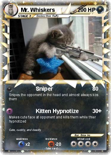 Pokemon Mr. Whiskers