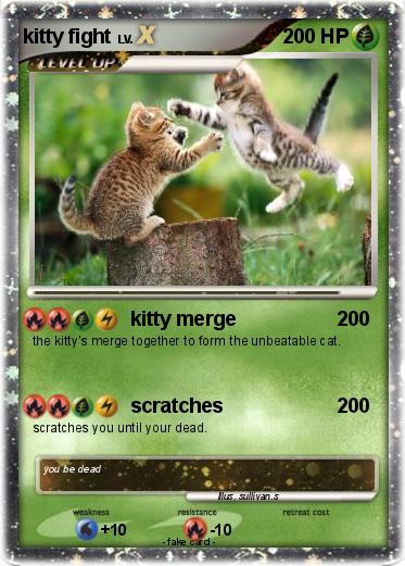 Pokemon kitty fight