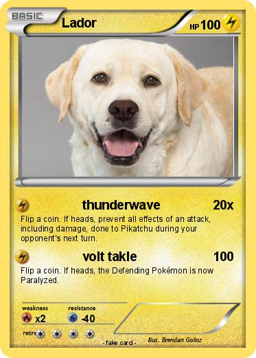 Pokemon Lador