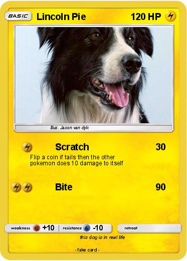 Pokemon Lincoln Pie