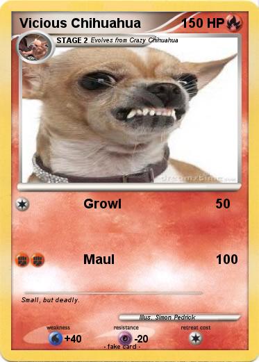 Pokemon Vicious Chihuahua