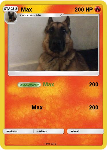 Pokemon Max