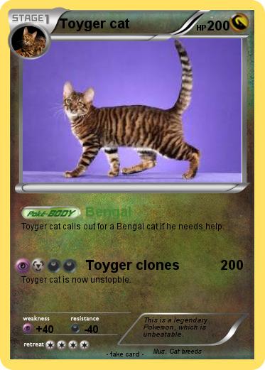 Pokemon Toyger cat