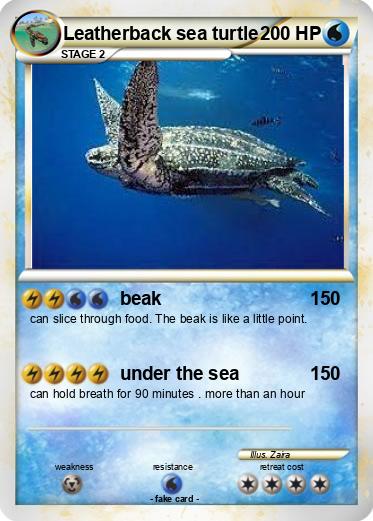 Pokemon Leatherback sea turtle