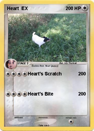 Pokemon Heart  EX