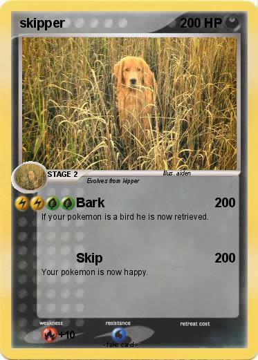 Pokemon skipper
