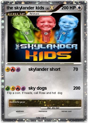 Pokemon the skylander kids
