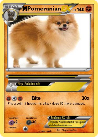 Pokemon Pomeranian