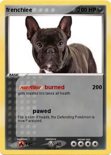 Pokemon frenchiee