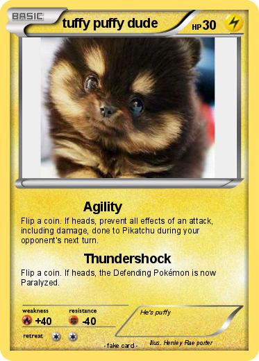 Pokemon tuffy puffy dude