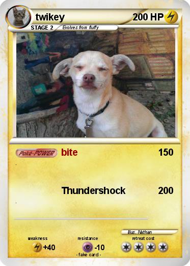Pokemon twikey
