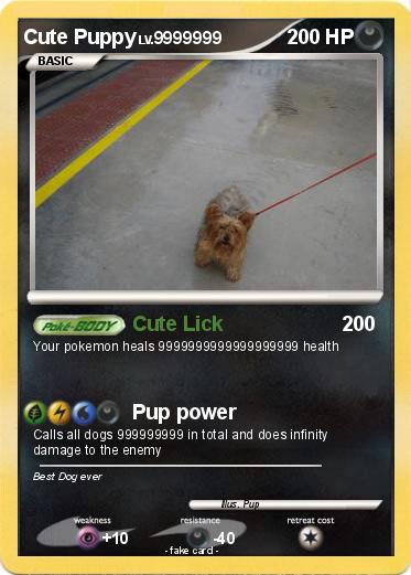 Pokemon Cute Puppy