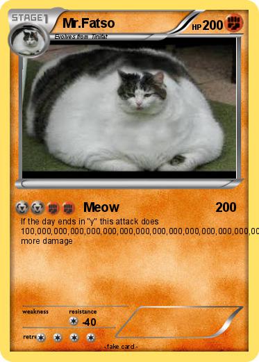 Pokemon Mr.Fatso