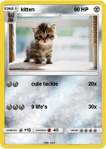 Pokemon kitten