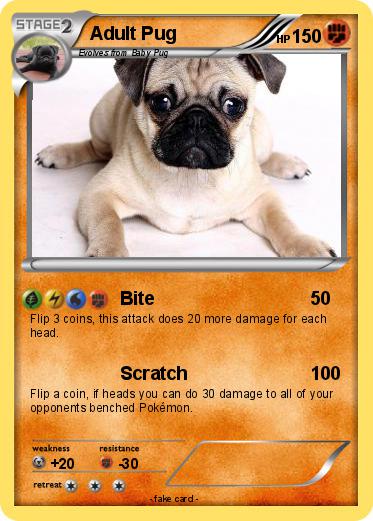 Pokemon Adult Pug