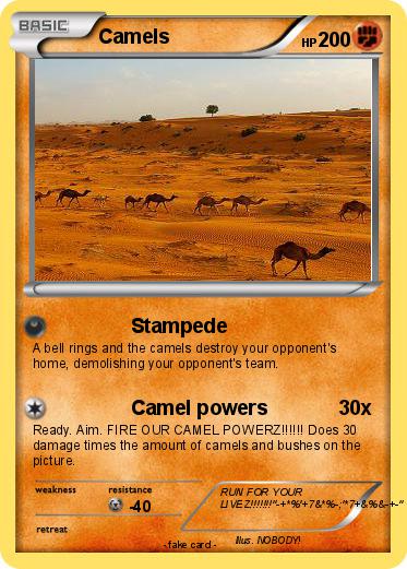 Pokemon Camels
