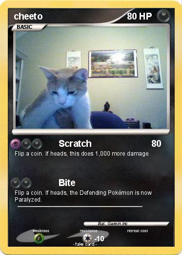Pokemon cheeto