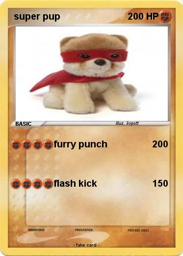 Pokemon super pup