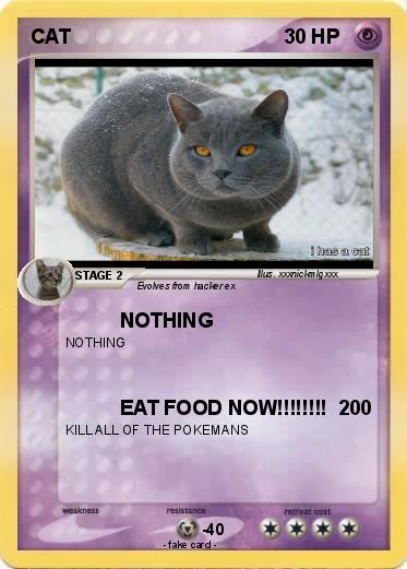 Pokemon CAT