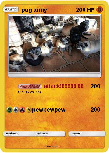 Pokemon pug army