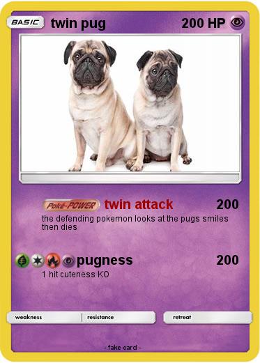Pokemon twin pug