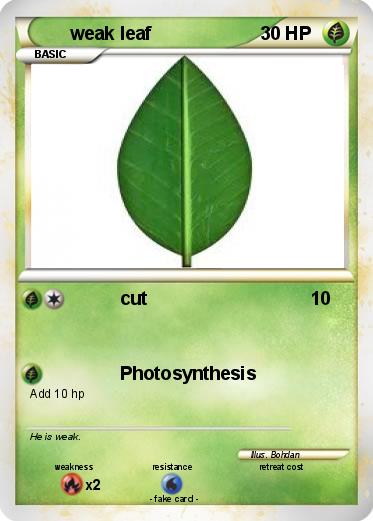Pokemon weak leaf
