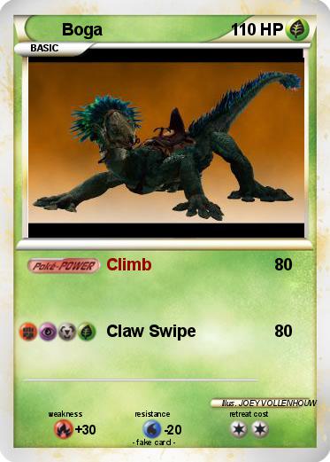 Pokemon Boga