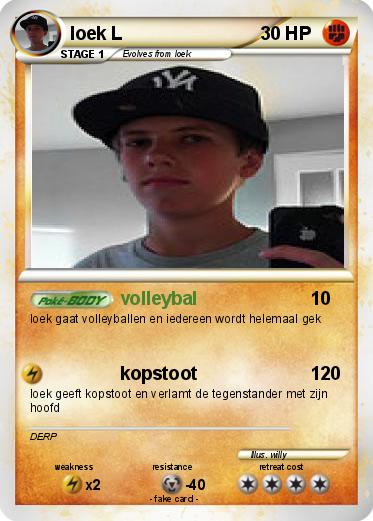 Pokemon loek L