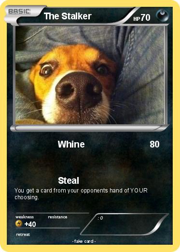 Pokemon The Stalker