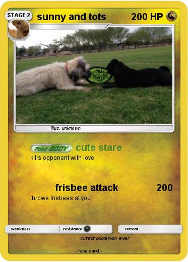 Pokemon sunny and tots