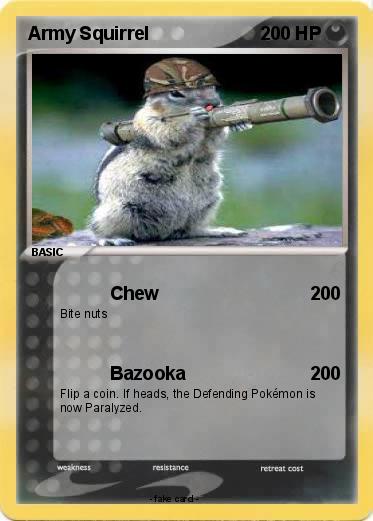 Pokemon Army Squirrel