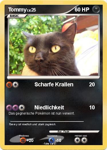 Pokemon Tommy