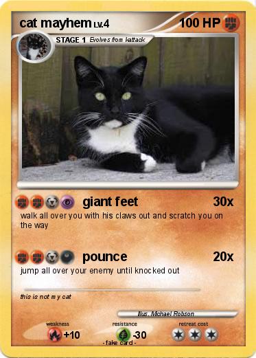 Pokemon cat mayhem
