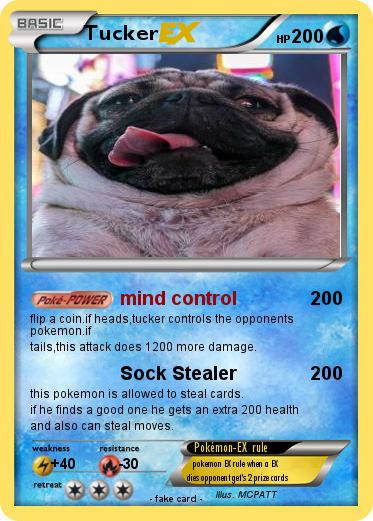 Pokemon Tucker
