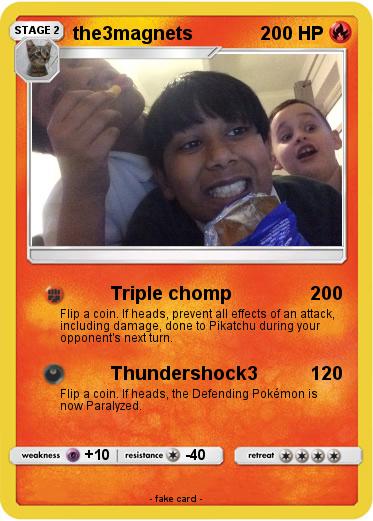 Pokemon the3magnets