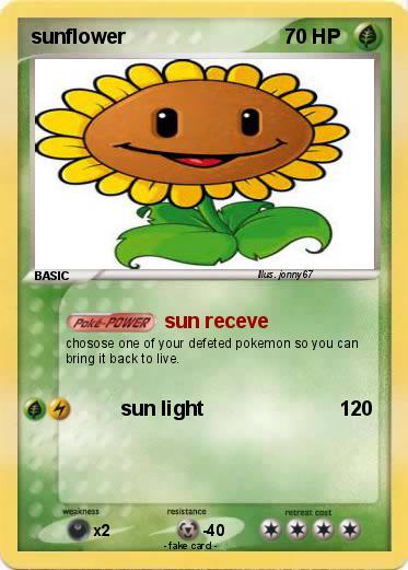 Pokemon sunflower