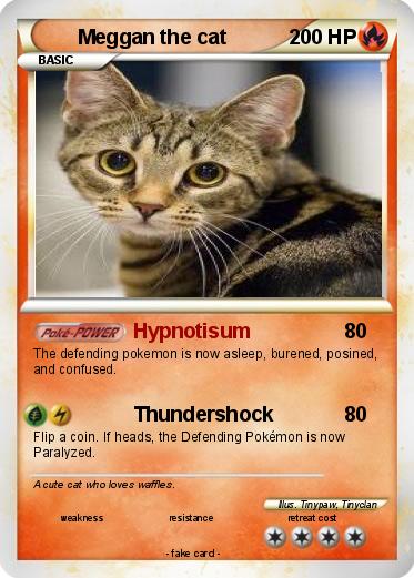Pokemon Meggan the cat