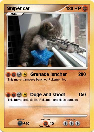 Pokemon Sniper cat