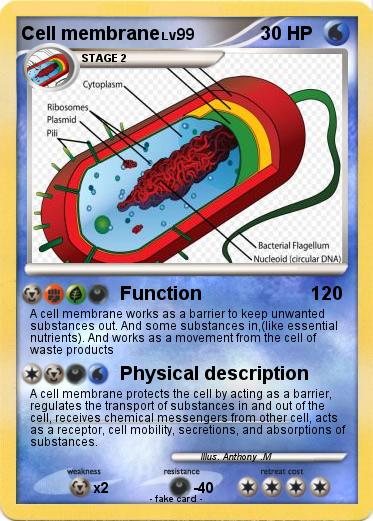 Pokemon Cell membrane