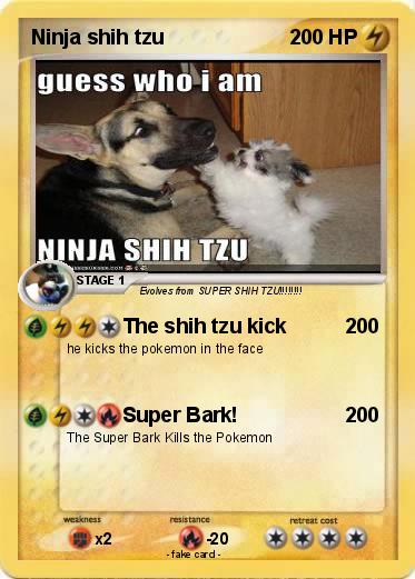 Pokemon Ninja shih tzu