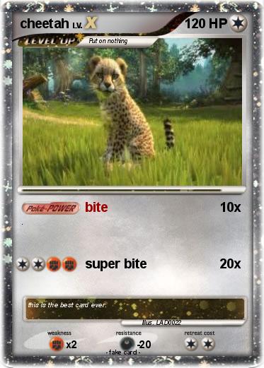 Pokemon cheetah