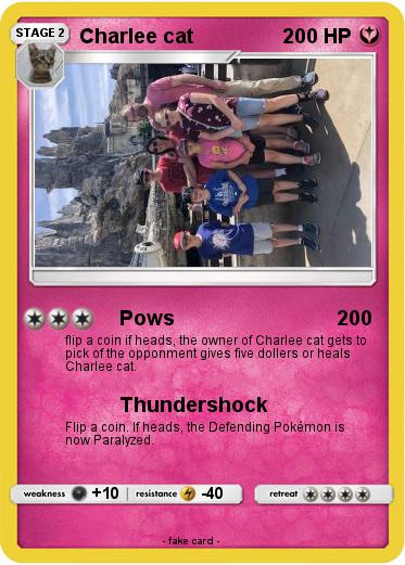 Pokemon Charlee cat