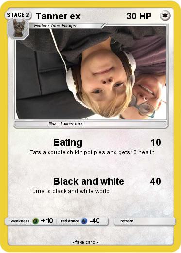 Pokemon Tanner ex