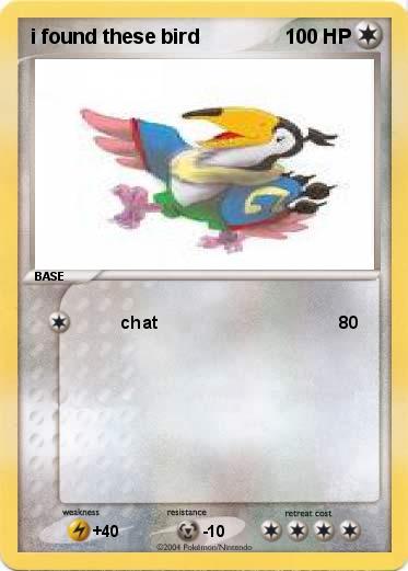 Pokemon i found these bird