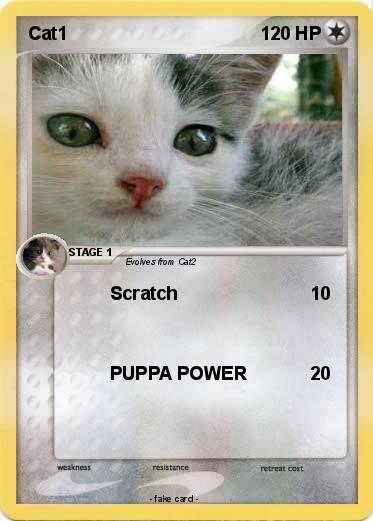 Pokemon Cat1