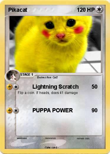 Pokemon Pikacat