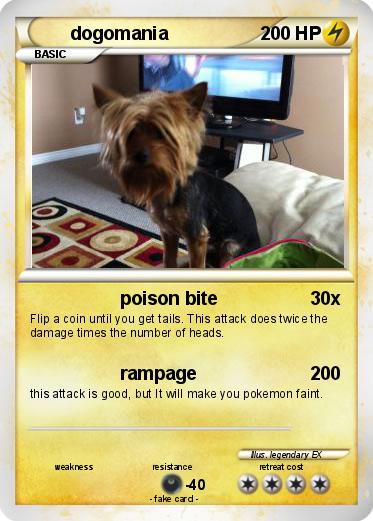 Pokemon dogomania